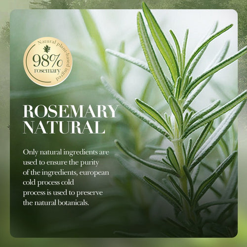 Rosemary Mint Hair Care Set